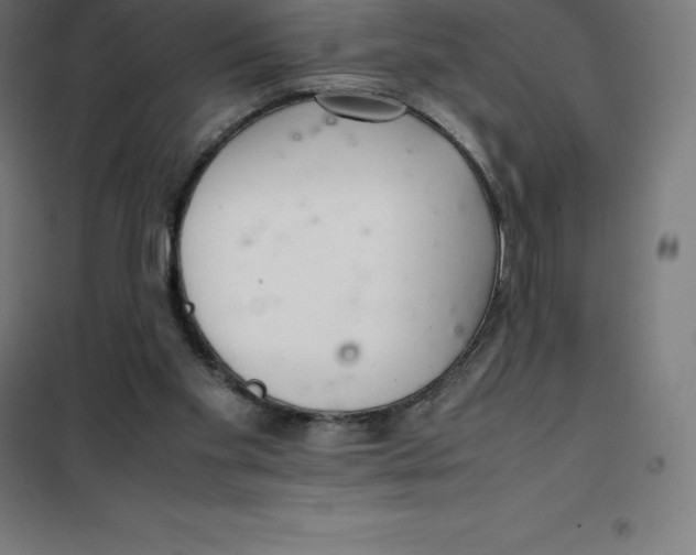 X0000100380109200807031934