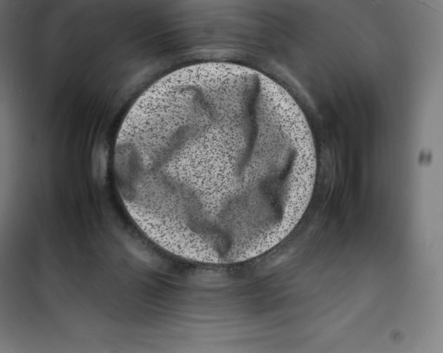 X0000100380110200807031934