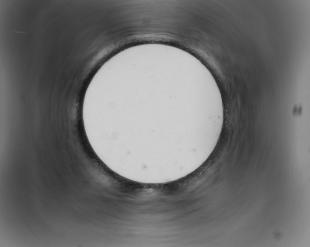 X0000100380111200807031934