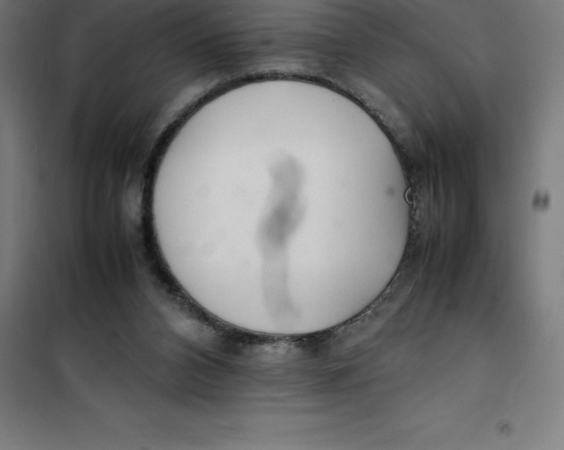 X0000100380112200807031934