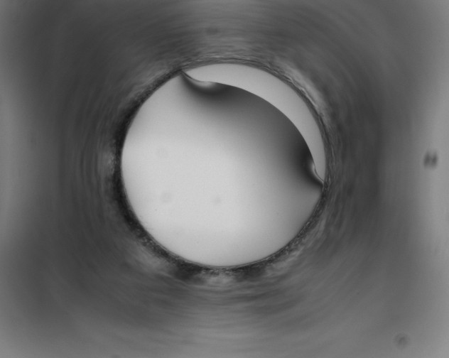 X0000100380113200807031934