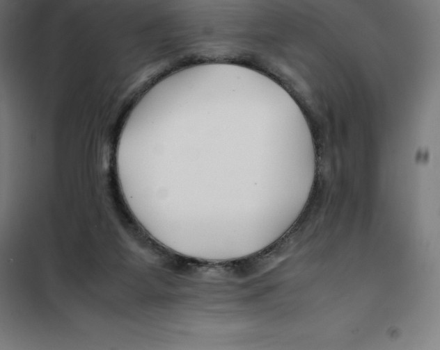 X0000100380115200807031934