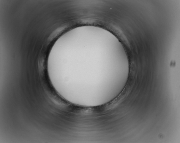 X0000100380116200807031934