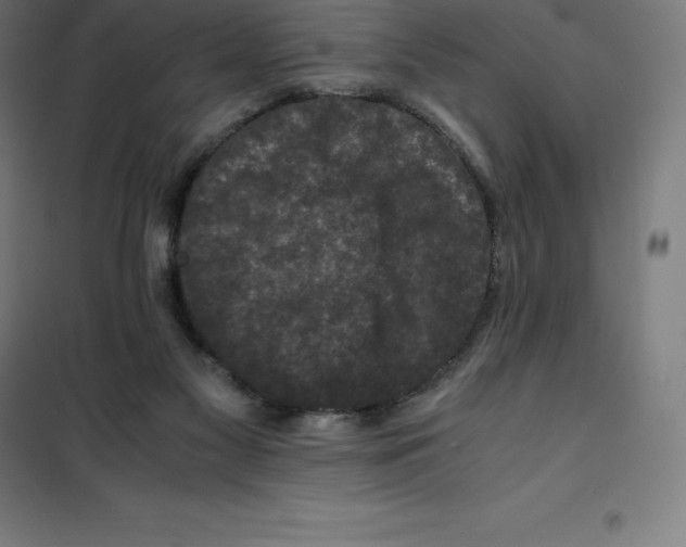 X0000100380117200807031934