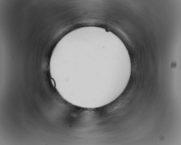 X0000100380119200807031934