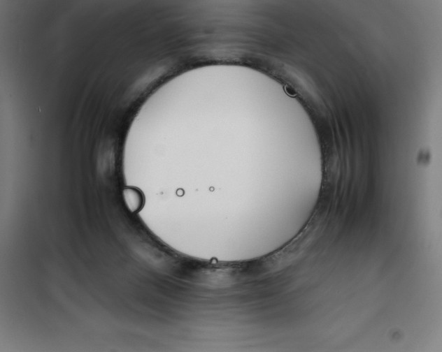 X0000100380120200807031934