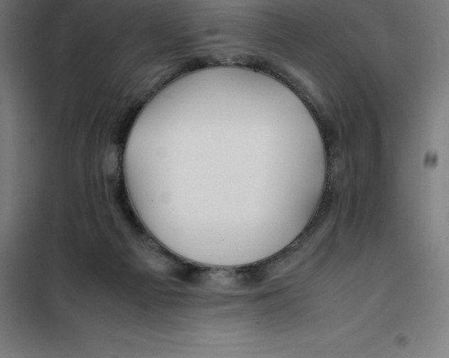 X0000100380121200807031934