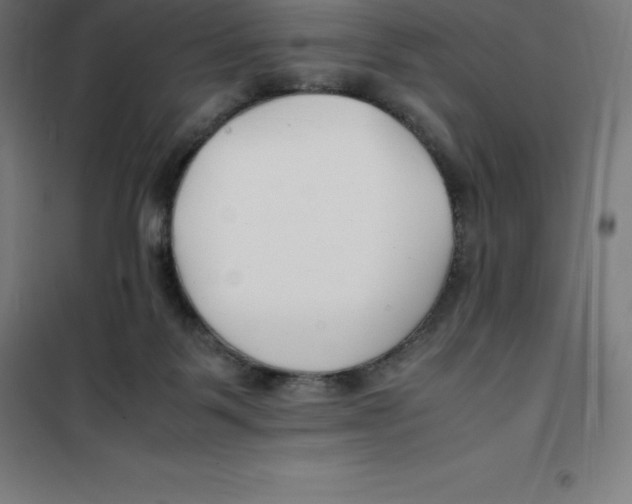 X0000100380123200807031934