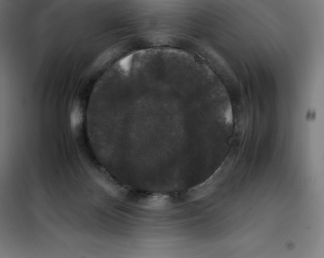 X0000100380124200807031934