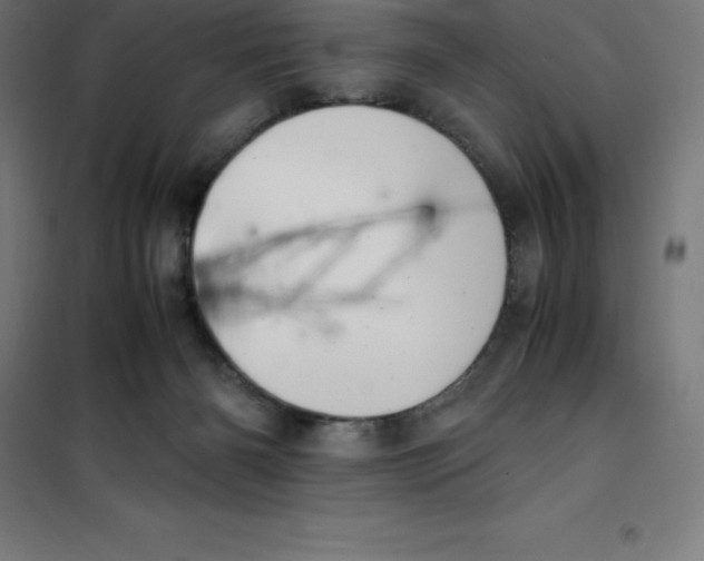 X0000100380126200807031934