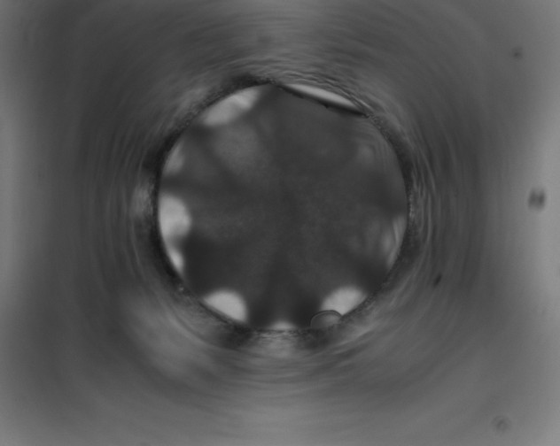 X0000100380127200807031934