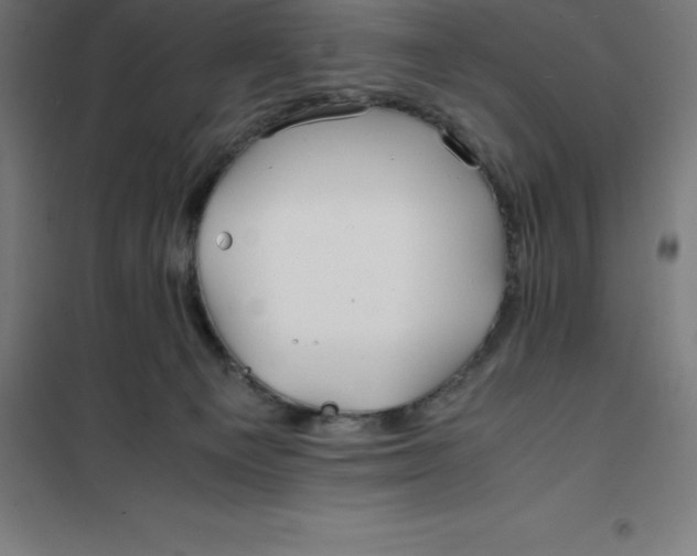 X0000100380129200807031934