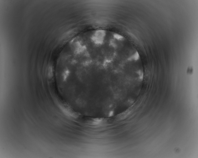 X0000100380130200807031934