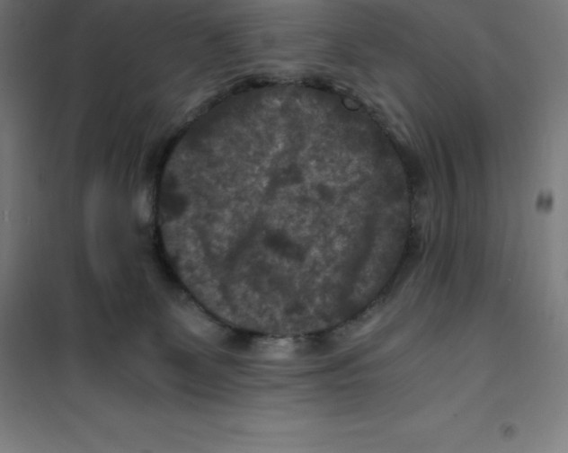 X0000100380131200807031934