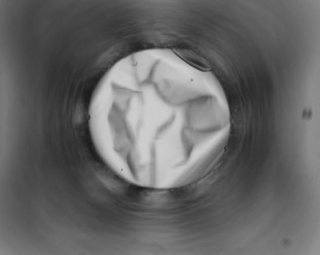 X0000100380132200807031934