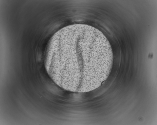 X0000100380134200807031934