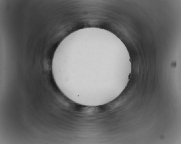 X0000100380135200807031934