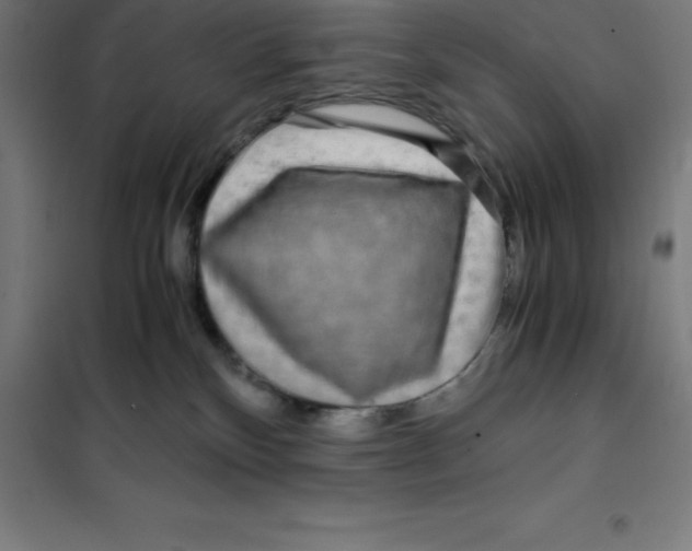 X0000100380136200807031934