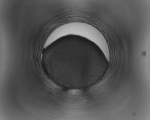 X0000100380137200807031934