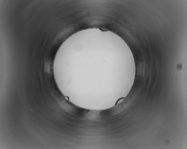 X0000100380138200807031934