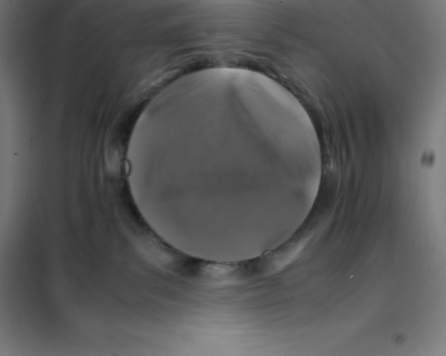 X0000100380139200807031934