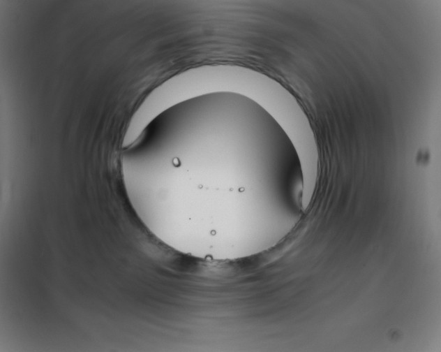 X0000100380141200807031934