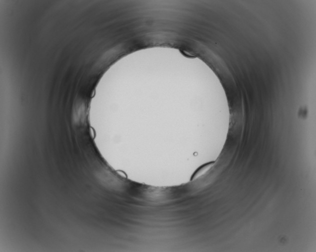X0000100380142200807031934