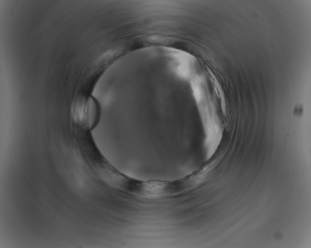 X0000100380143200807031934