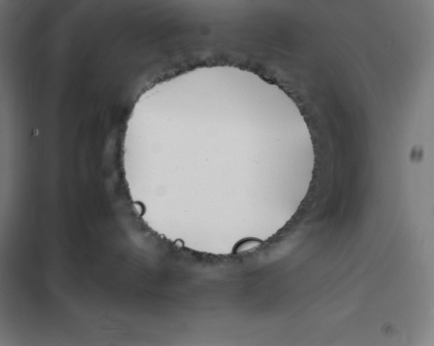 X0000100380144200807031934