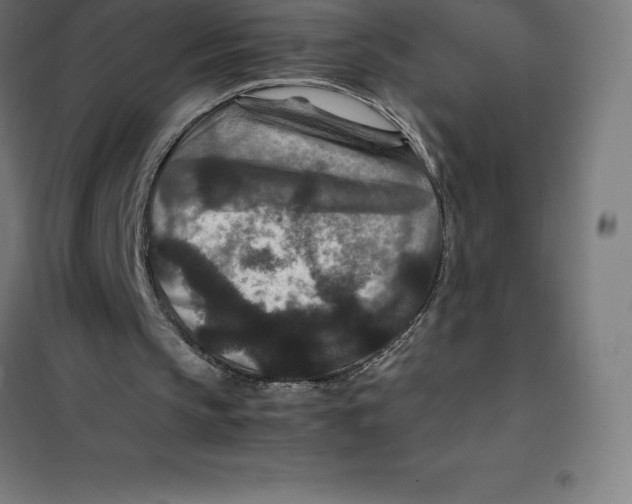 X0000100380145200807031933