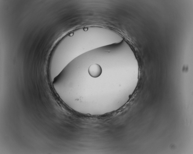 X0000100380146200807031933