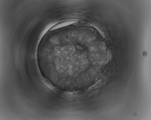 X0000100380147200807031933