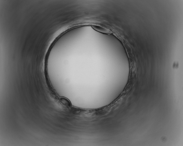 X0000100380148200807031933