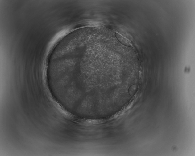 X0000100380149200807031933