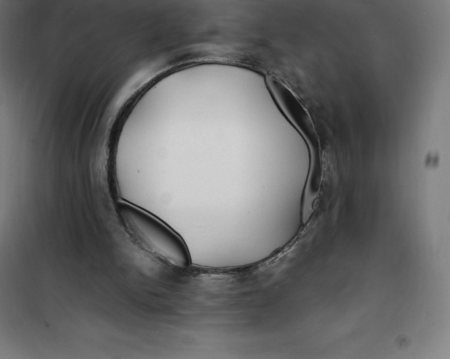 X0000100380150200807031933