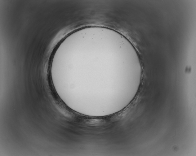 X0000100380151200807031933