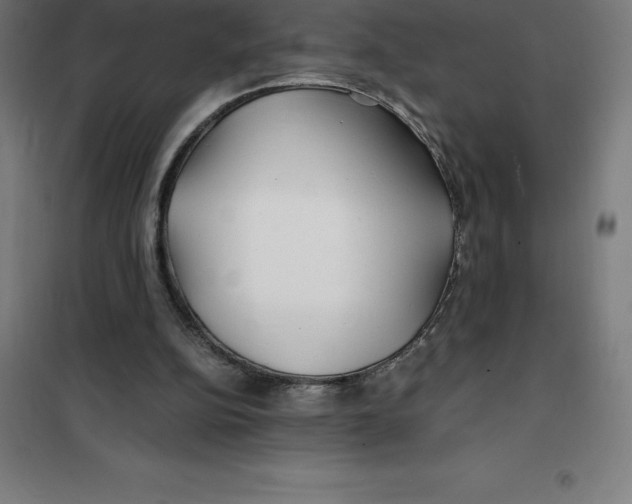 X0000100380152200807031933