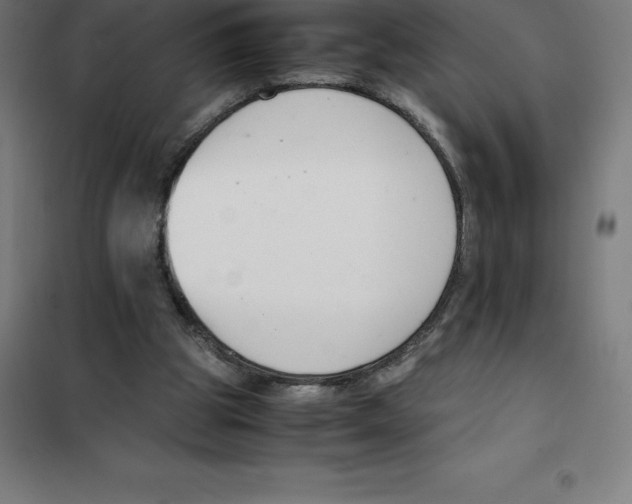 X0000100380153200807031933