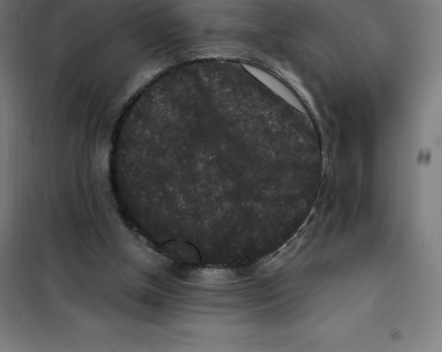 X0000100380154200807031933