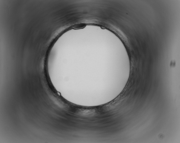X0000100380155200807031933