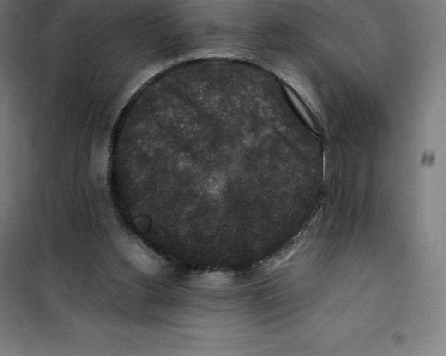 X0000100380156200807031933