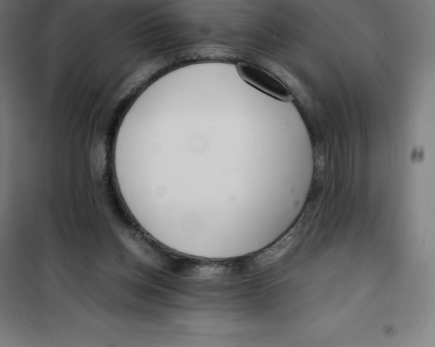 X0000100380158200807031933
