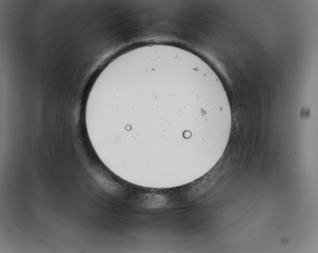 X0000100380159200807031933