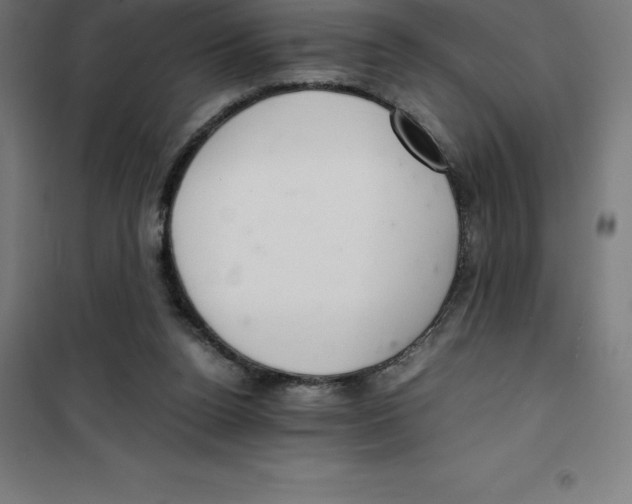 X0000100380160200807031933