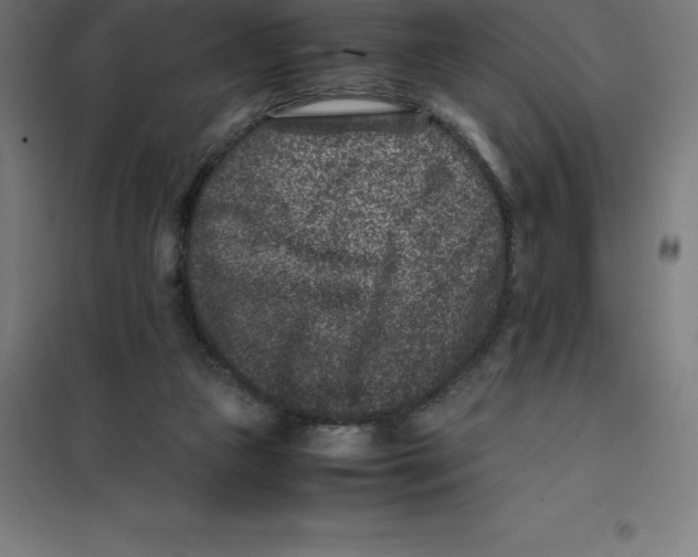 X0000100380161200807031933