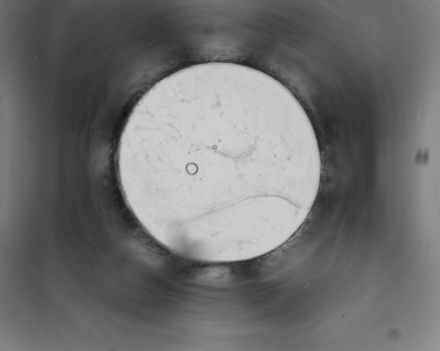 X0000100380162200807031933