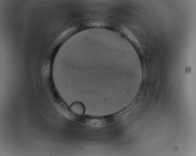 X0000100380163200807031933