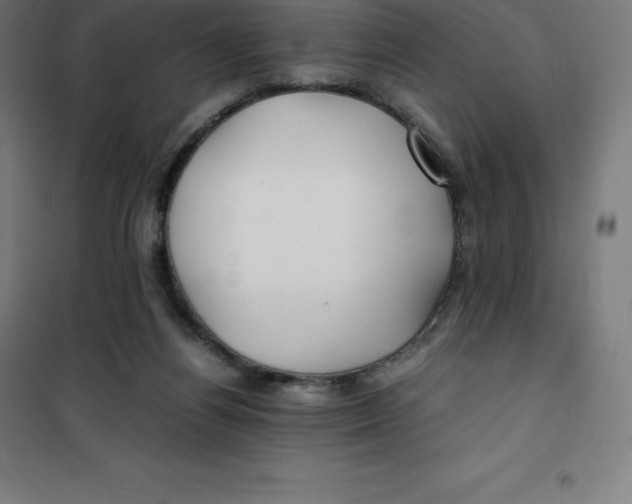 X0000100380164200807031933