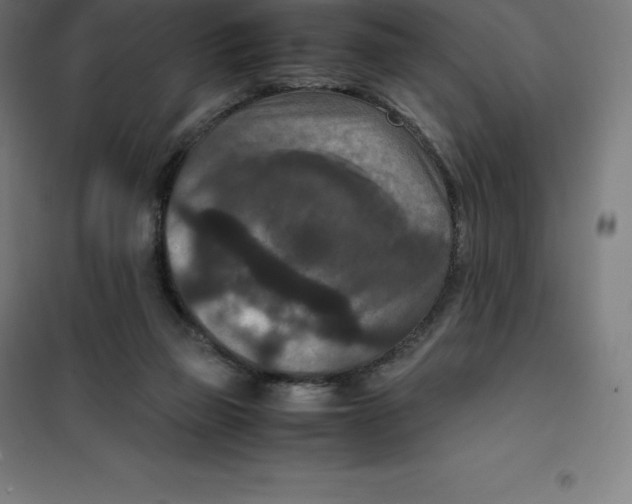 X0000100380165200807031933
