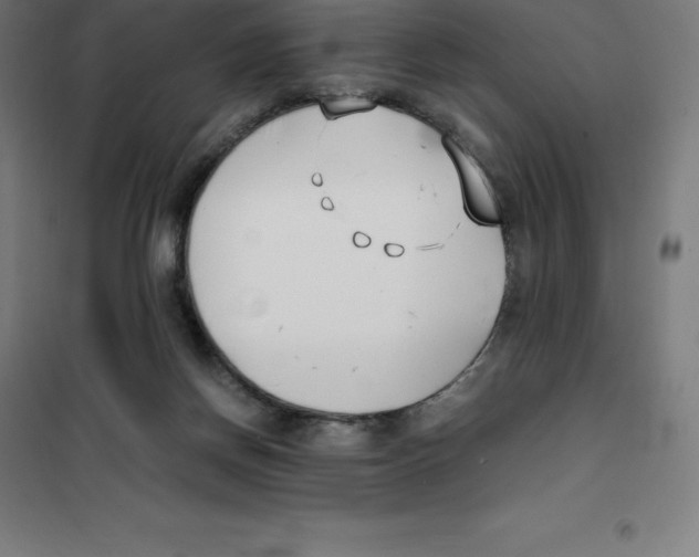 X0000100380166200807031933